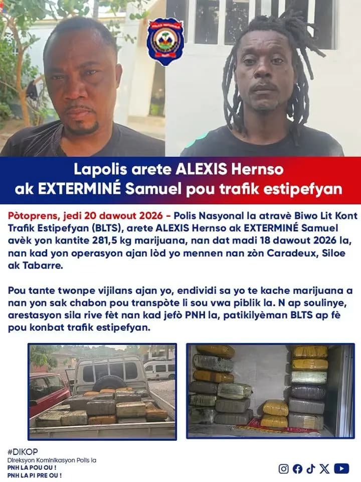Tabarre : la PNH saisit 281,5 kg de marijuana dissimulés dans des sacs de charbon
